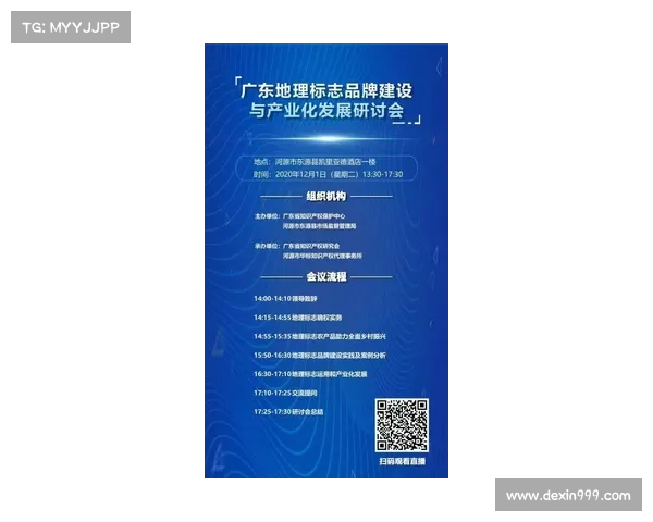 以内卡萨为中心的区域经济发展与文化融合研究:探索未来合作模式与发展路径 以内卡萨为中心的区域经济发展与文化融合研究:探索未来合作模式与发展路径